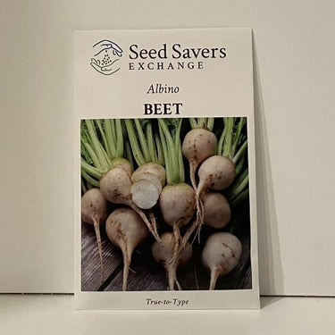 Albino Beet Open-Pollianted Seeds